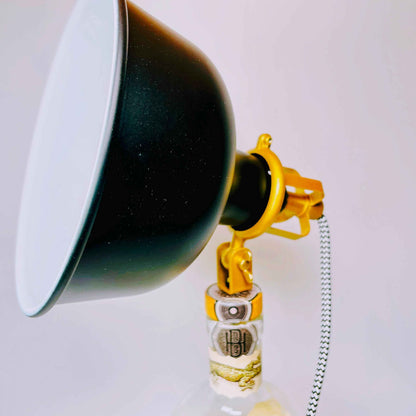 Don Papa Rum Lampe | Handgemachte Upcycling Tischlampe aus Don Papa Rum Flasche | Einzigartige Geschenkidee | Deko