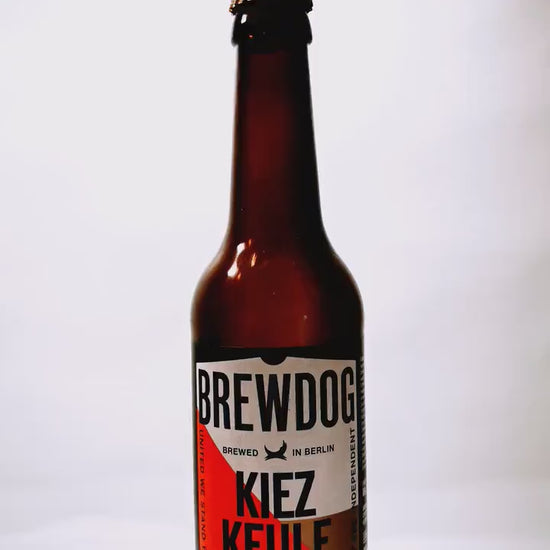 KraftBIERbaum | Der Magnet-Baum für deine Craftbeer-Crowns | Handgemacht Upcycling | Craftbier Flasche | Hält 60+ Kronkorken
