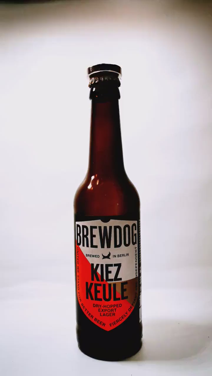 KraftBIERbaum | Der Magnet-Baum für deine Craftbeer-Crowns | Handgemacht Upcycling | Craftbier Flasche | Hält 60+ Kronkorken