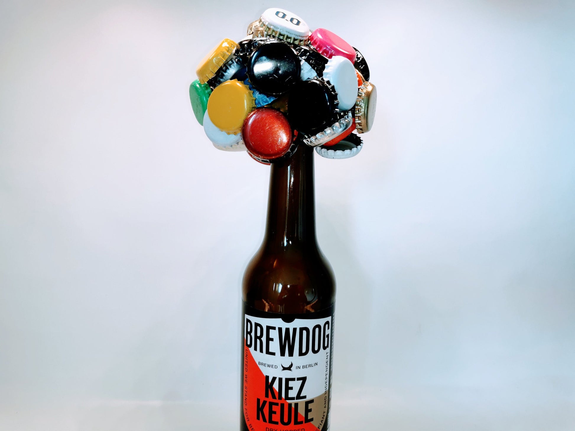 KraftBIERbaum | Der Magnet-Baum für deine Craftbeer-Crowns | Handgemacht Upcycling | Craftbier Flasche | Hält 60+ Kronkorken